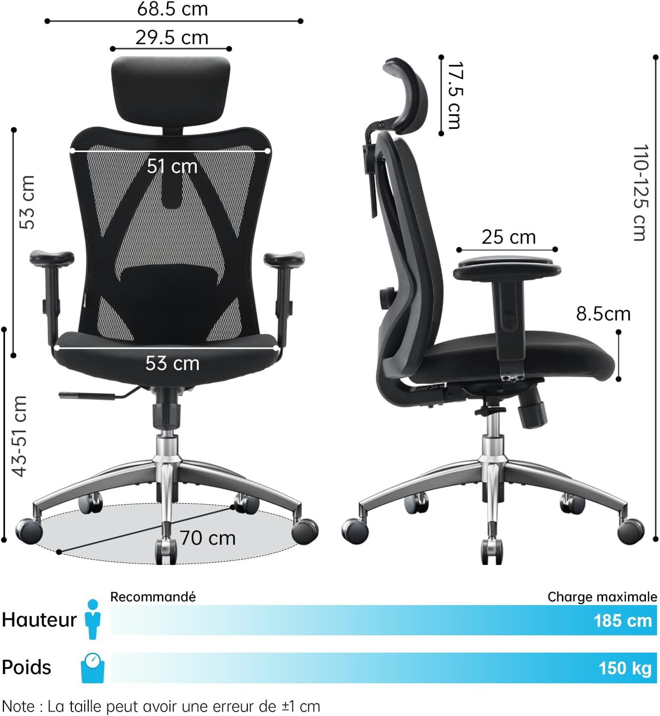 Chaise de Bureau Ergonomique